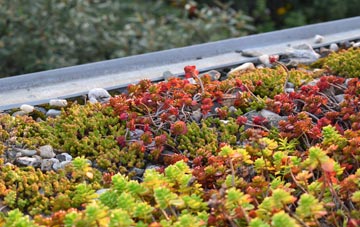 the cost of Lidsing green roof installation