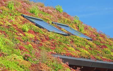 Lidsing living roof systems